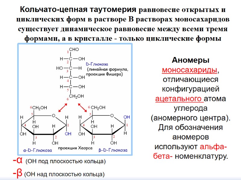 Аномеры моносахариды,  отличающиеся  конфигурацией ацетального атома углерода (аномерного центра). Для обозначения аномеров